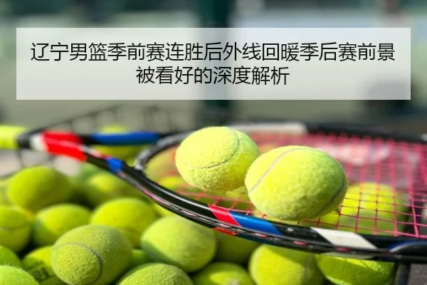 辽宁男篮季前赛连胜后外线回暖季后赛前景被看好的深度解析